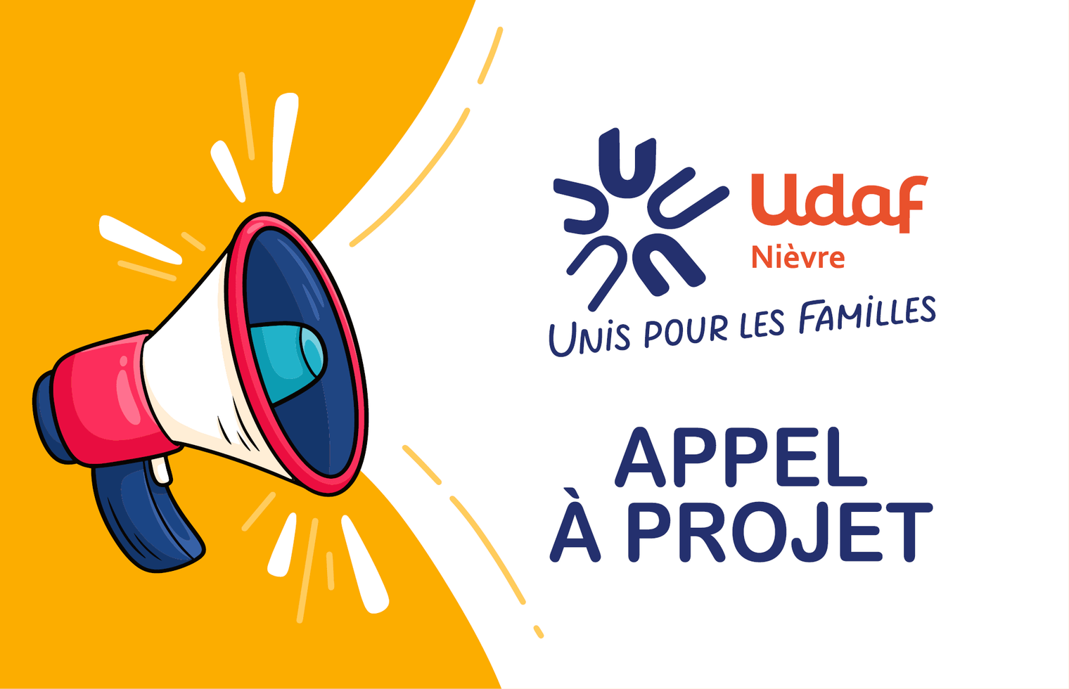 Appel à projet (AAP) : Bilan / Élaboration du Schéma Départemental des ...